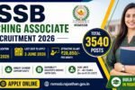 RSSB Teaching Associate Recruitment 2026 apply online for 3540 posts Rajasthan government teaching jobs